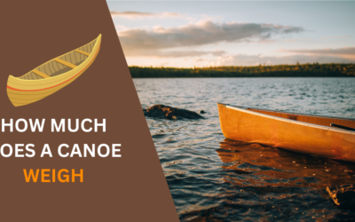 How Much Does a Canoe Weigh? Everything You Need to Know