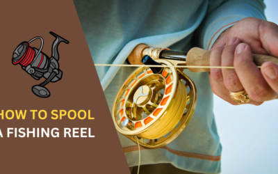 How to Spool a Fishing Reel? Easy Step-by-Step Guide in 2024