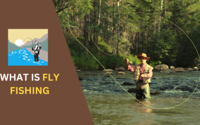 What is Fly Fishing? Unraveling the Art of Angling in 2024