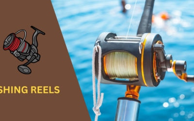 7 Best Fishing Reels for Every Angler in 2024