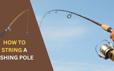 How to String a Fishing Pole? Step-by-Step Guideline in 2024