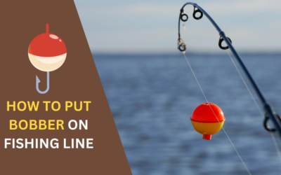 How to Put a Bobber on a Fishing Line? Tips & Tricks in 2024