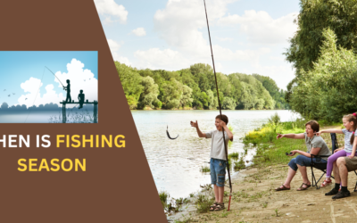 When is Fishing Season? Find Your Best Times to Fishing