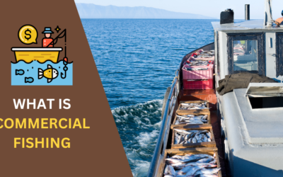 What is Commercial Fishing? Everything You Need to Know