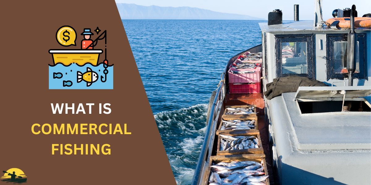 What is Commercial Fishing
