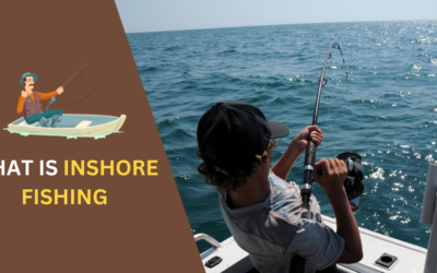 What is Inshore Fishing? Everything You Need to Know in 2024