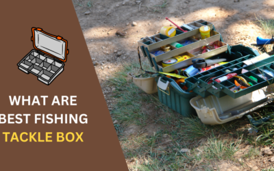 7 Best Fishing Tackle Box: Top Picks for Anglers in 2024