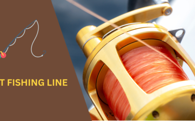 5 Best Fishing Lines 2024: Top Picks (Tested & Rated)