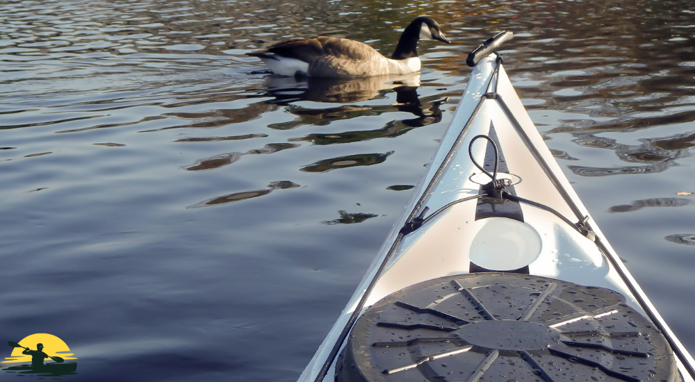 A kayak in a lake