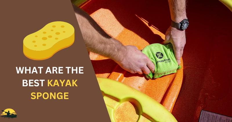 Kayak Sponge