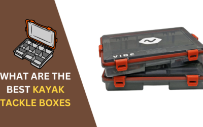 7 Best Kayak Tackle Boxes: Stay Organized & Catch More