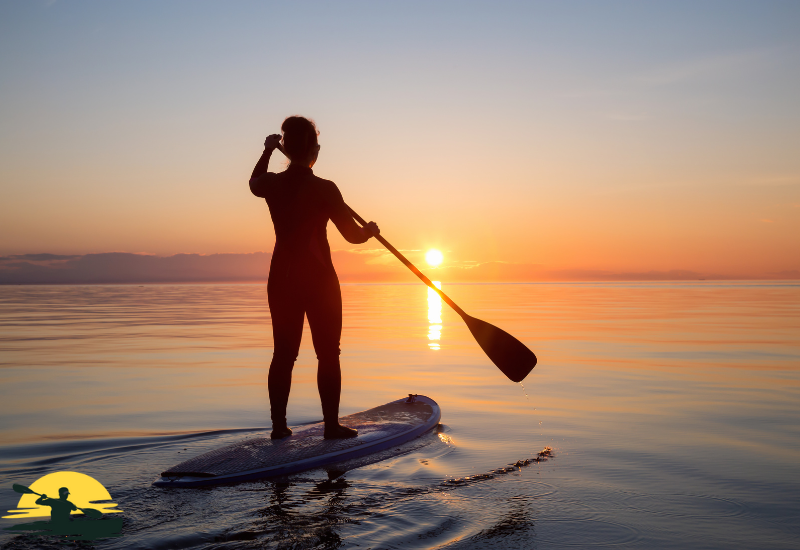 Holding a Paddle Board Paddle