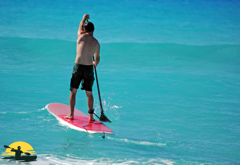 Holding a Paddle Board Paddle