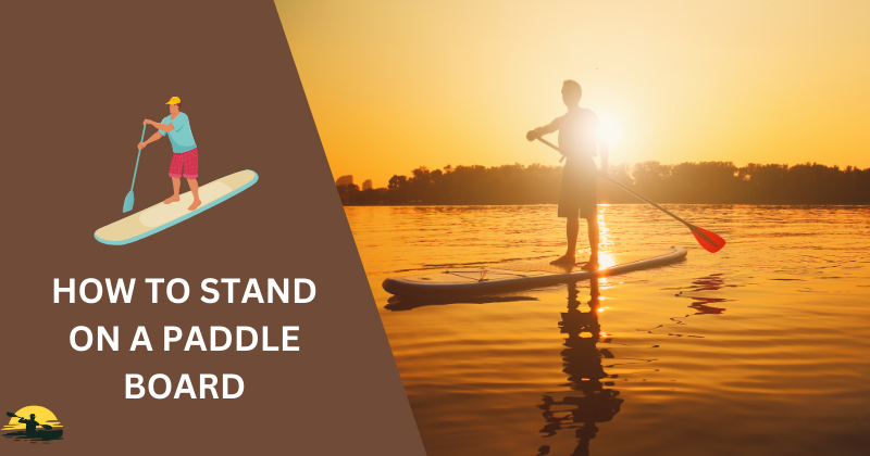 How to Stand on a Paddle Board