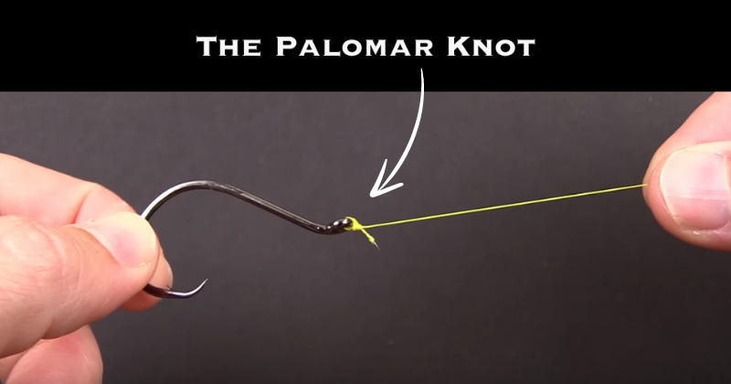 Palomar Knot